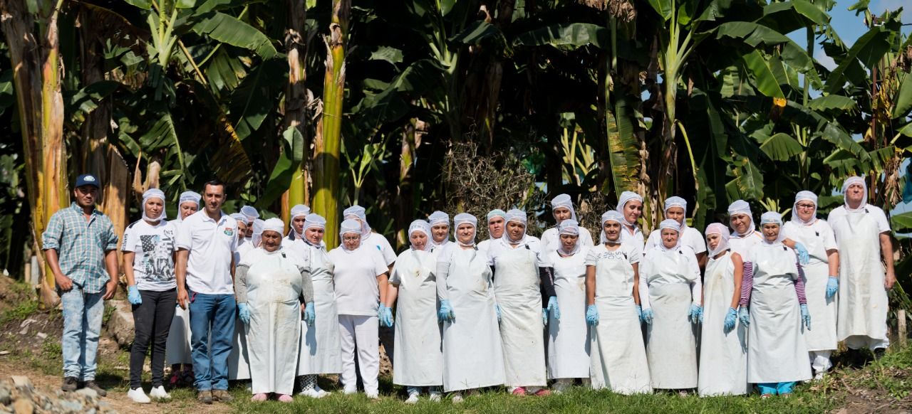 farmers farm plantain social people