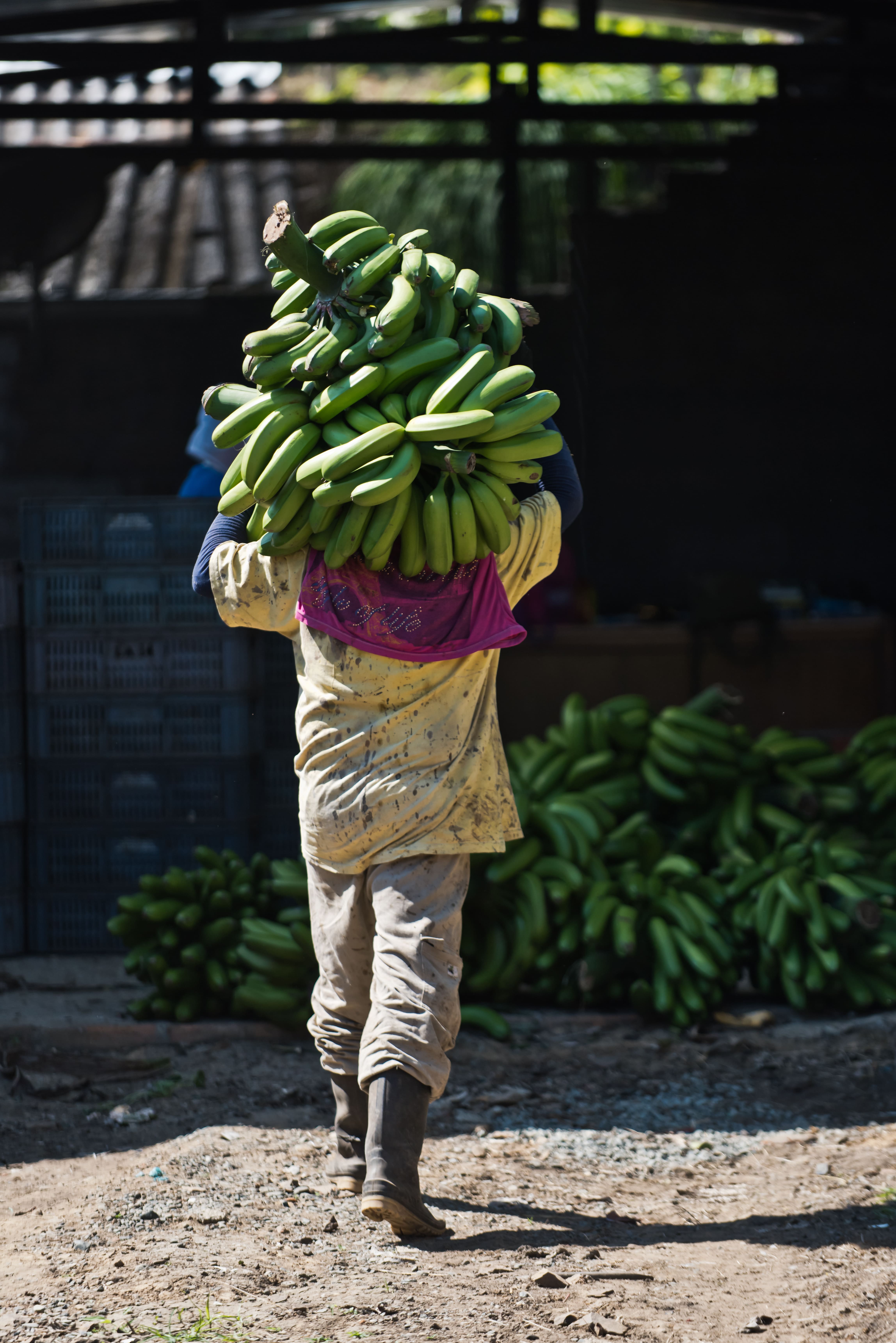 Nuestra Historia - Santo Frío